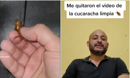 TikTok dio de baja el video de un mexicano bañando a una cucaracha: el llamativo motivo TikTok dio de baja el video de un mexicano bañando a una cucaracha: el llamativo motivo