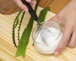 Aloe vera con aceite de coco para el crecimiento saludable del cabello Aloe vera con aceite de coco para el crecimiento saludable del cabello