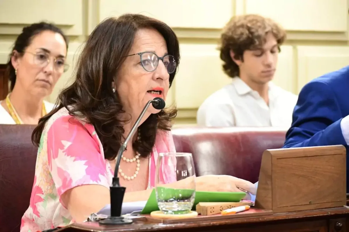 la diputada Verónica Baró Graff amplió el análisis y planteó que la violencia escolar es, en realidad, un reflejo de la violencia social.