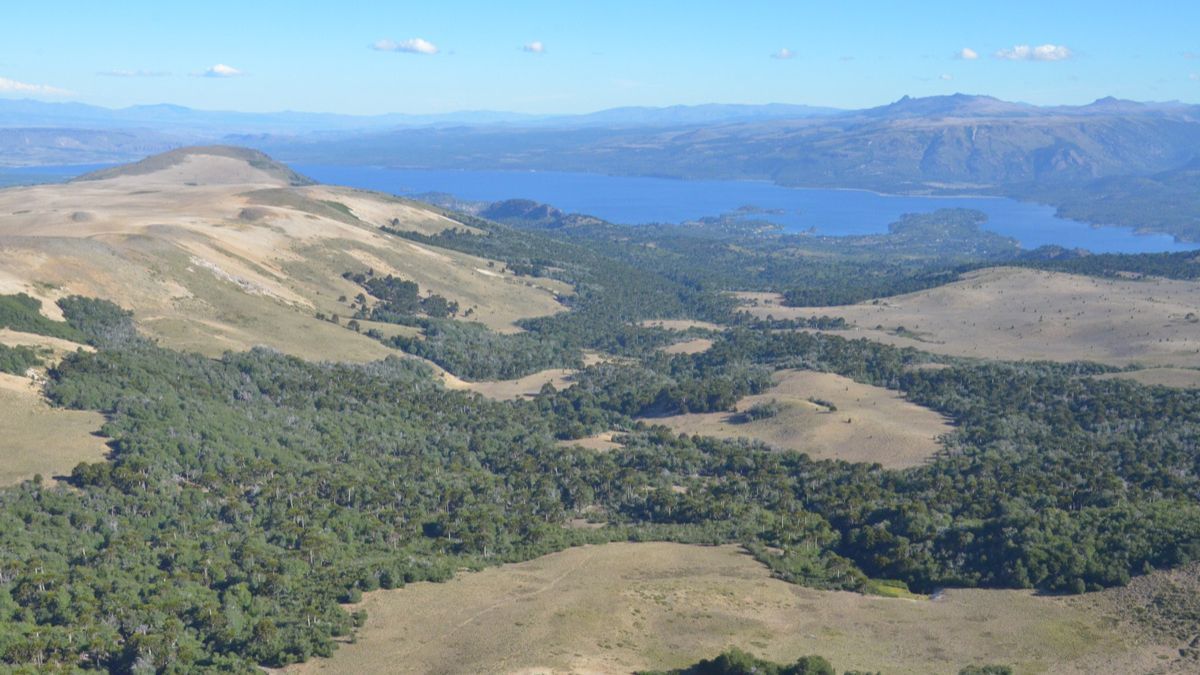 Villa Pehuenia Moquehue ofrece diversas actividades al aire libre, y una de las principales es en el sendero del cerro Batea Mahuida. Villa Pehuenia Moquehue ofrece diversas actividades al aire libre, y una de las principales es en el sendero del cerro Batea Mahuida.