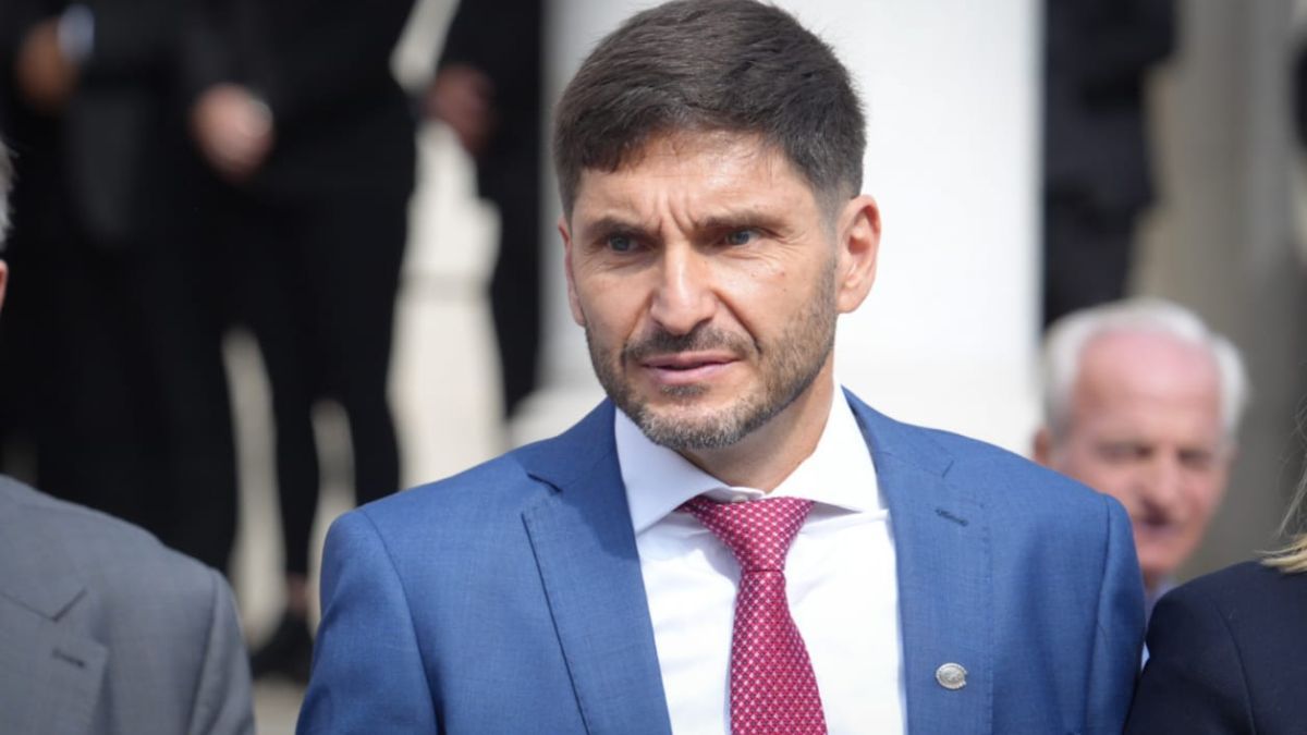 Pullaro expresó su decepción por el rechazo de los senadores a Ficha Limpia.