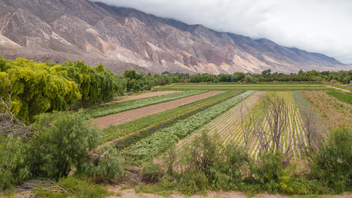Maimará, Jujuy. Maimará, Jujuy.