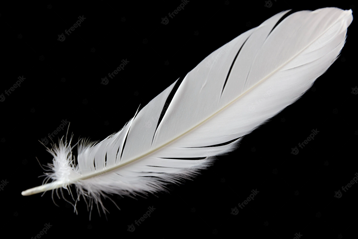 El significado espiritual de encontrar una pluma: ¿mensaje del universo?