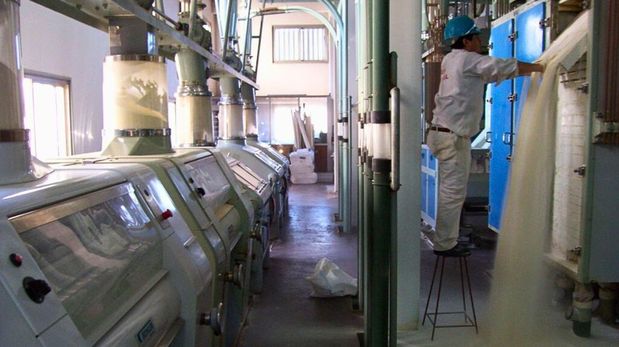 Alerta en los molinos: sobra trigo, pero falta el que sirve para hacer pan