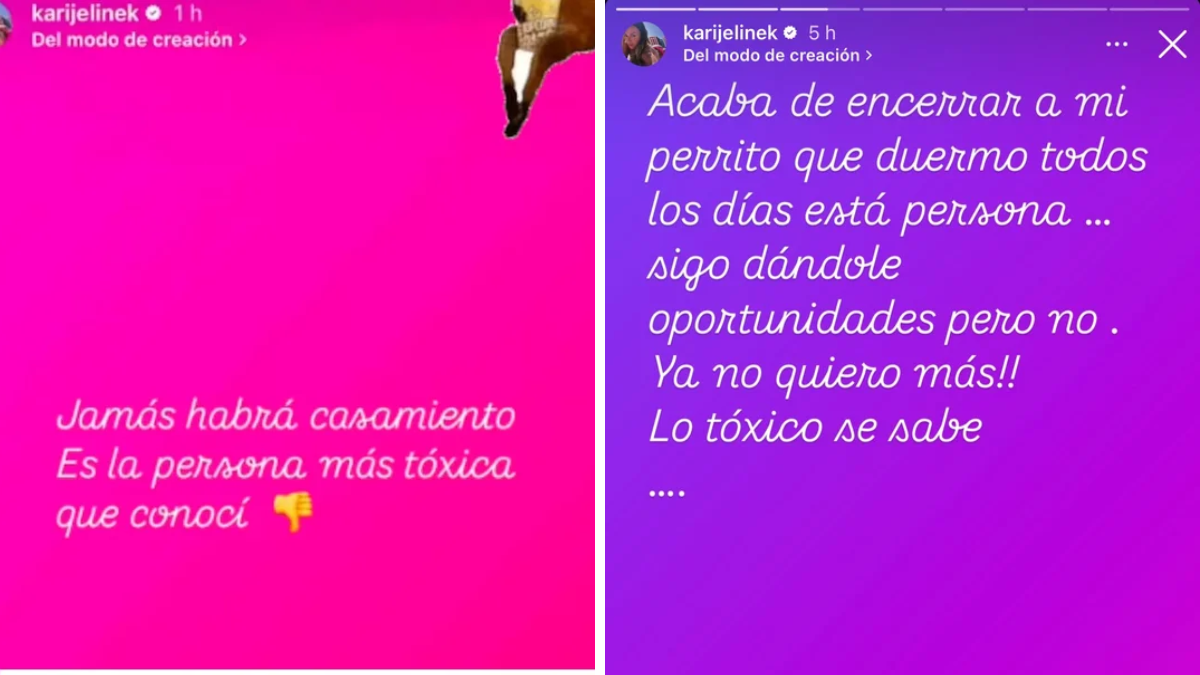 Los posteos de Karina Jelinek sobre Flor Parise. Los posteos de Karina Jelinek sobre Flor Parise.