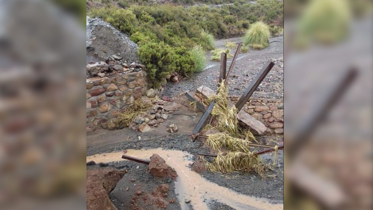 Jujuy: 15 personas evacuadas, cortes de ruta, anegamientos y desmoronamientos en el sur de la provincia