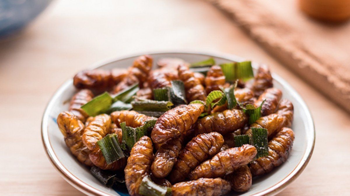 Un estudio liderado por la Universidad de Cambridge sostiene que los gusanos son un superalimento para erradicar la malnutrición.