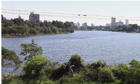 El lago del Parque Sur ya no tiene repollitos y se habilitaron los deportes náuticos El lago del Parque Sur ya no tiene repollitos y se habilitaron los deportes náuticos