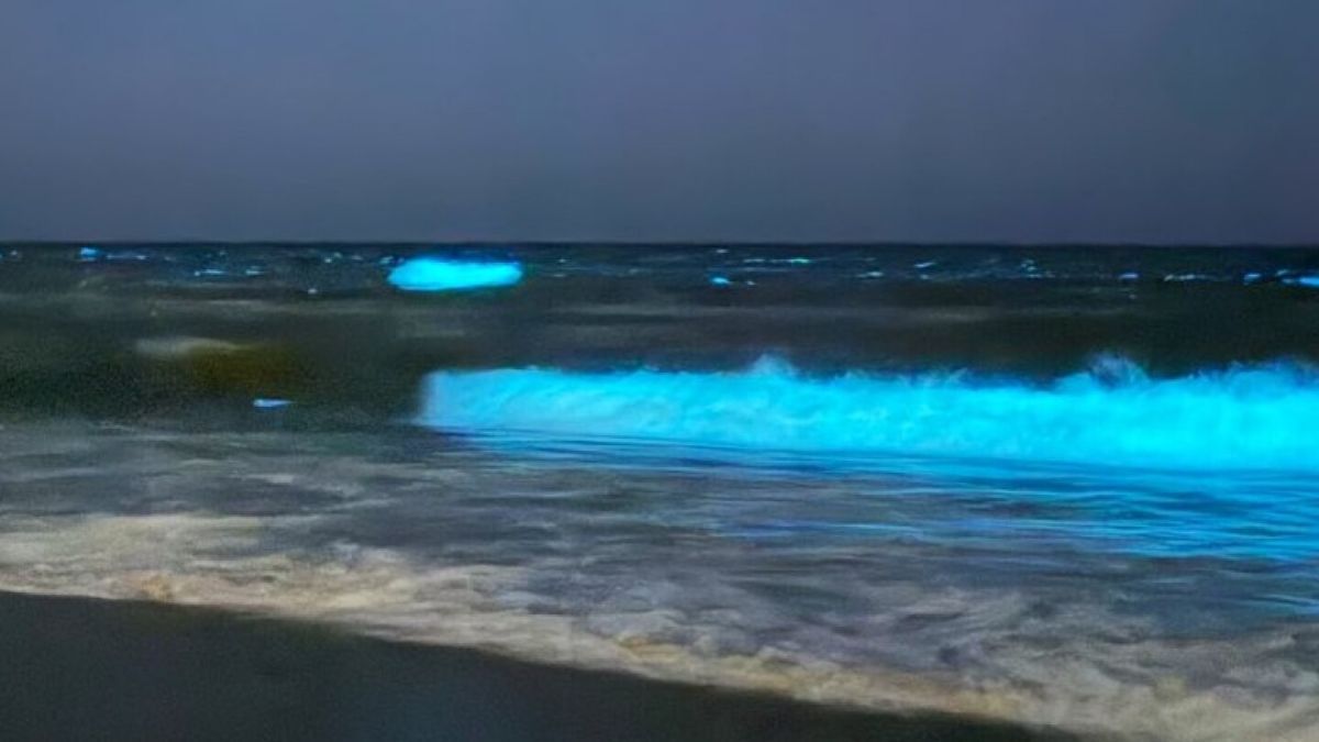 El brillo nocturno del mar se intensifica cuando aumentan la temperatura del agua y la concentración de noctilucas.