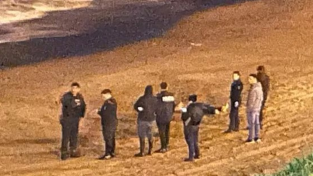 Hallazgo sorpresivo en la costa de Mar del Plata.