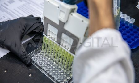 Científicos de la UNL avanzaron en la producción de vacunas. Científicos de la UNL avanzaron en la producción de vacunas.