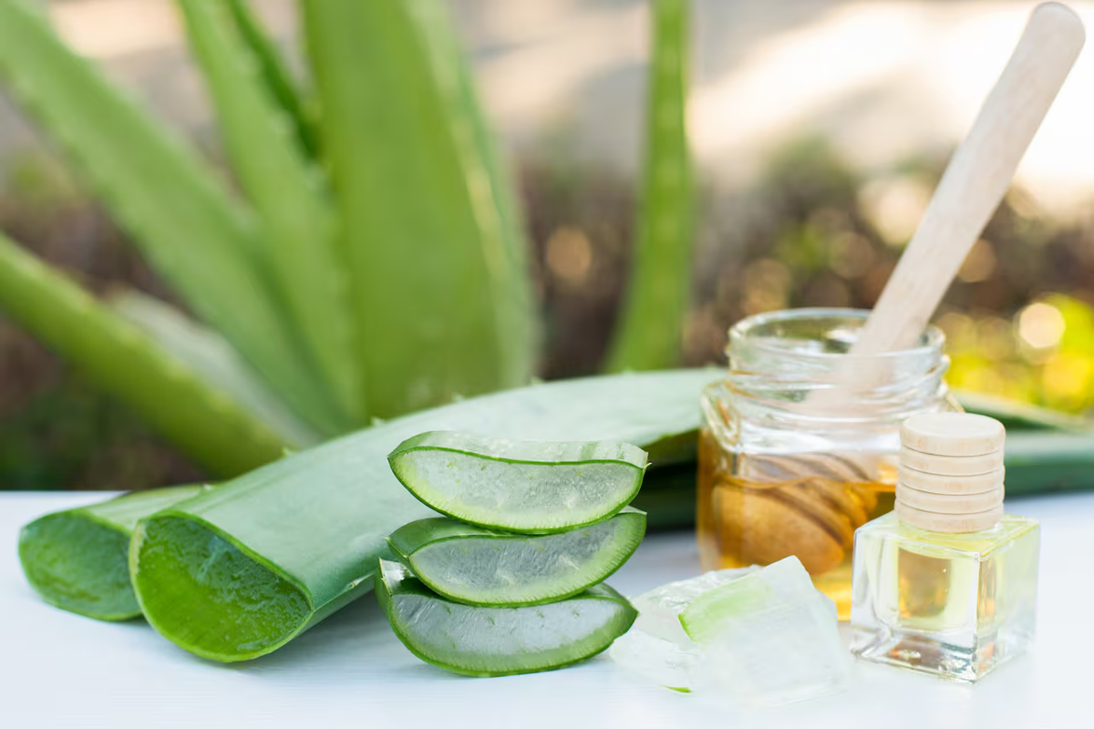 Las propiedades del aloe vera