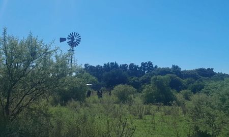 Una mujer de 66 años murió en el norte de Santa Fe, tras ser embestida por un toro mientras realizaba tareas rurales. Una mujer de 66 años murió en el norte de Santa Fe, tras ser embestida por un toro mientras realizaba tareas rurales.