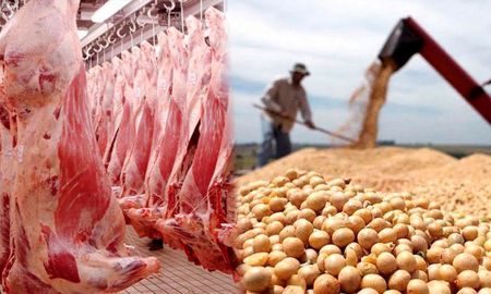 Aire de Santa Fe | CARNE-Y-SOJA.jpg