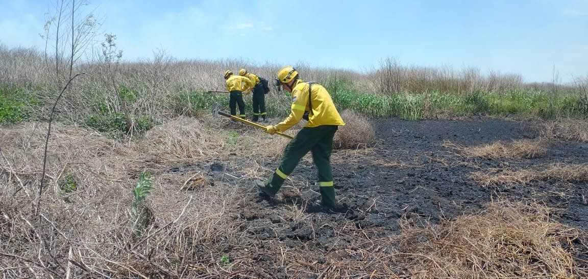 El Gobierno de Entre Ríos recordó que aún se encuentra vigente la prohibición de realizar cualquier tipo de quemas sin autorización ya que pesa sobre la zona una medida cautelar del Juzgado Federal de Paraná.