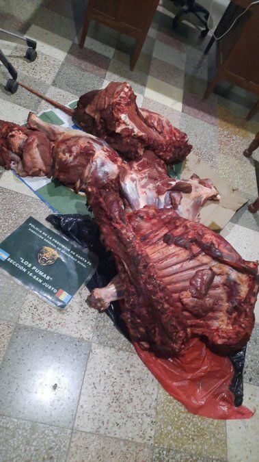 Por el pelaje encontrado en uno de los cortes pudo identificarse que la carne que se encontró en el vehículo correspondía al animal cuatrereado en un campo de Videla.