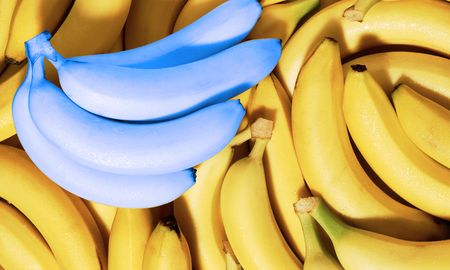 ¿que pasara con tu cuerpo si empezas a comer 2 bananas al dia? ¿que pasara con tu cuerpo si empezas a comer 2 bananas al dia?