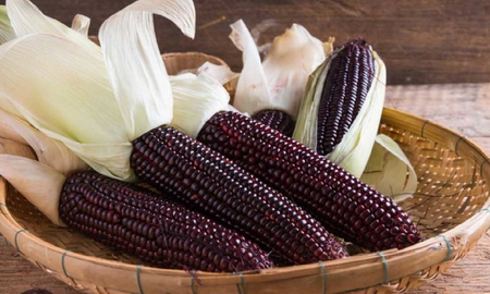 el superalimento que actua como antiinflamatorio natural el superalimento que actua como antiinflamatorio natural