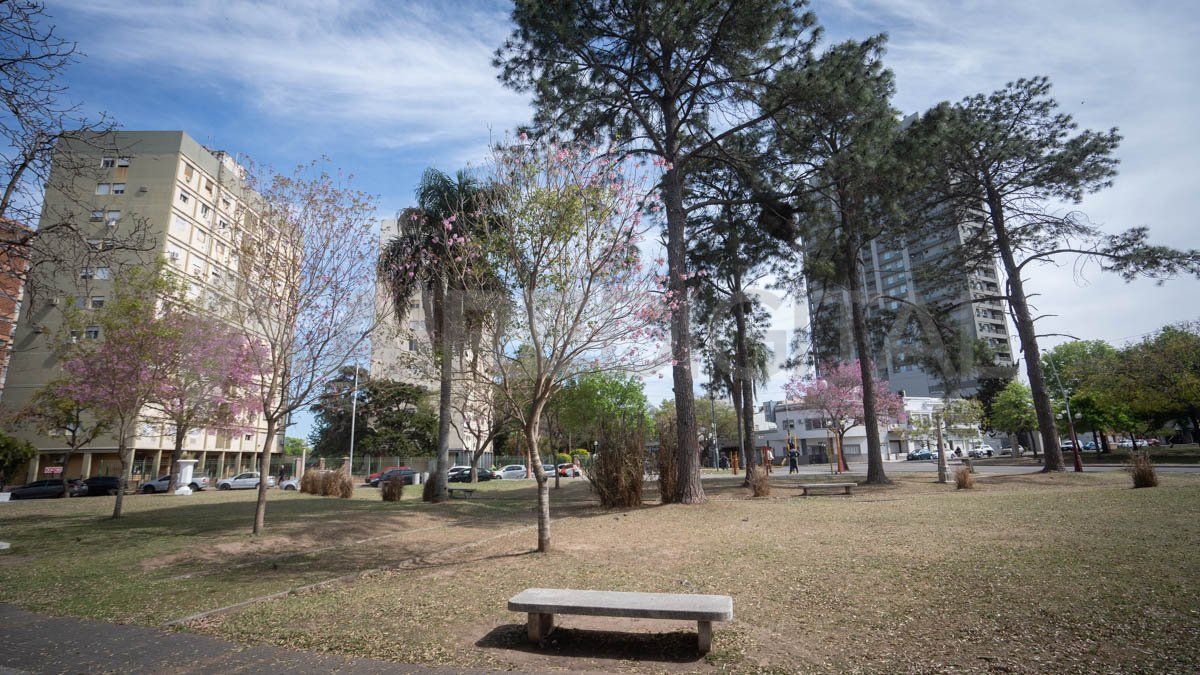 En el marco de los Juegos Odesur