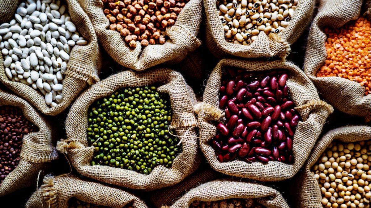 El hierro hierro presente en estos alimentos es clave para el transporte de oxígeno en el organismo, optimizando la función muscular y su crecimiento. El hierro hierro presente en estos alimentos es clave para el transporte de oxígeno en el organismo, optimizando la función muscular y su crecimiento.