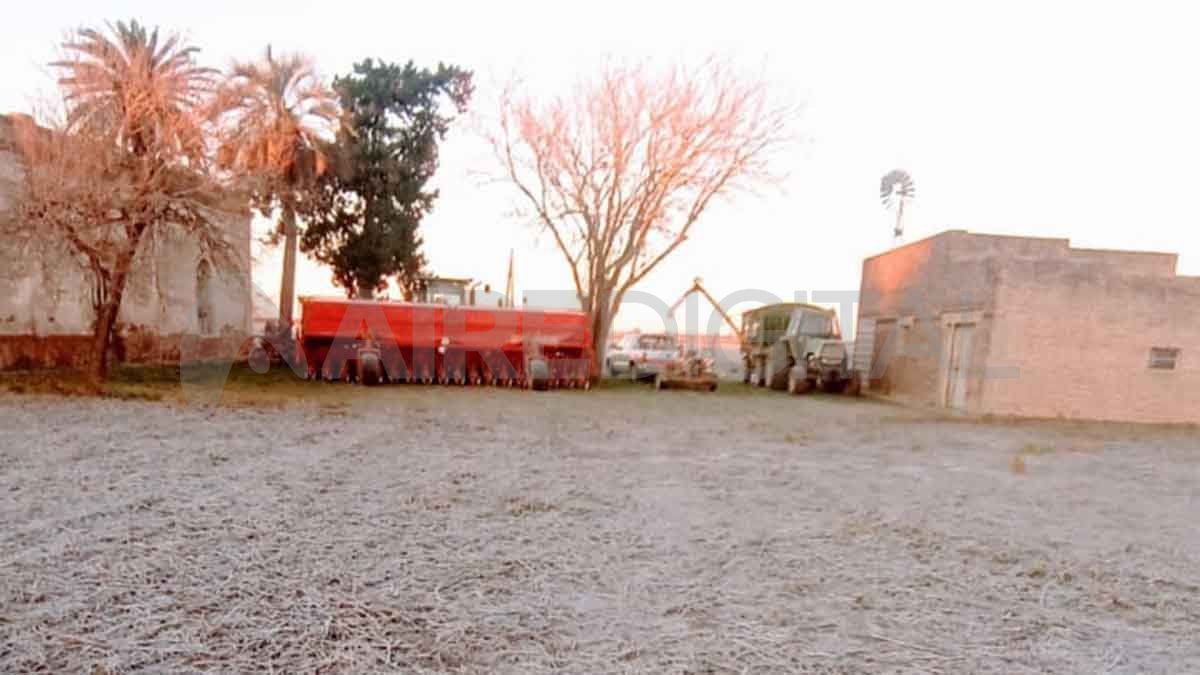 La helada de este martes en Grutly.