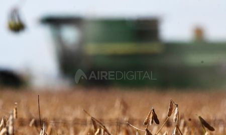 Mediante un comunicado de la Mesa de Entidades Agropecuarias –titulado Para el campo, solo trabas- el sector de la producción primaria expresó su rechazo al cierre del registro de exportaciones de harina y aceite de soja. Mediante un comunicado de la Mesa de Entidades Agropecuarias –titulado Para el campo, solo trabas- el sector de la producción primaria expresó su rechazo al cierre del registro de exportaciones de harina y aceite de soja.