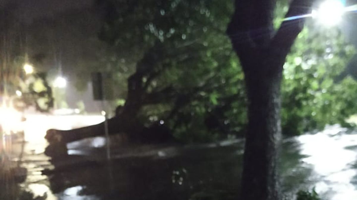 El noreste provincia fue fuertemente afectado por un temporal este domingo.