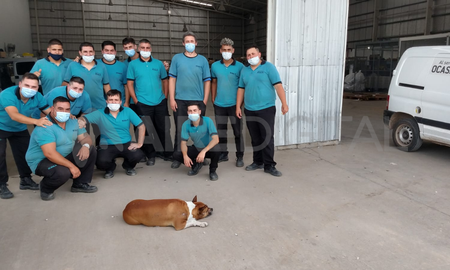 En uno de los robos, los delincuentes le dispararon al perro de la planta, que se salvó de milagro. En uno de los robos, los delincuentes le dispararon al perro de la planta, que se salvó de milagro.