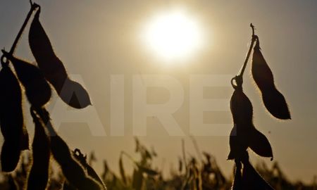 El Gobierno analiza un aumento de las retenciones. El Gobierno analiza un aumento de las retenciones.