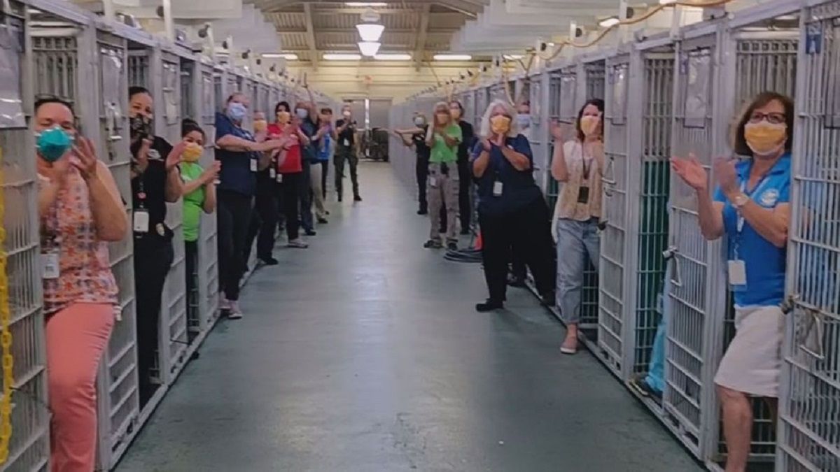 Los trabajadores del refugio aplauden que se quedaron sin animales.