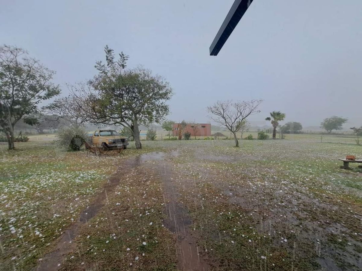 Helvecia: pedrada en varios barrios de la localidad
