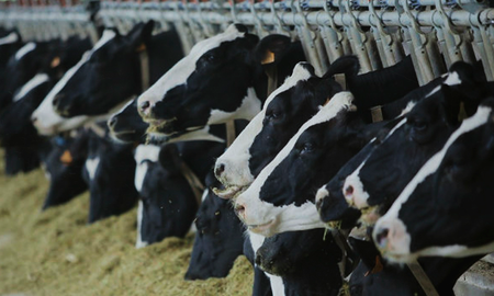 El protagonista de este documental nos mostrará esta realidad a través de diferentes entrevistas que están relacionadas con la industria alimentaria y las asociaciones ecologistas. El protagonista de este documental nos mostrará esta realidad a través de diferentes entrevistas que están relacionadas con la industria alimentaria y las asociaciones ecologistas.