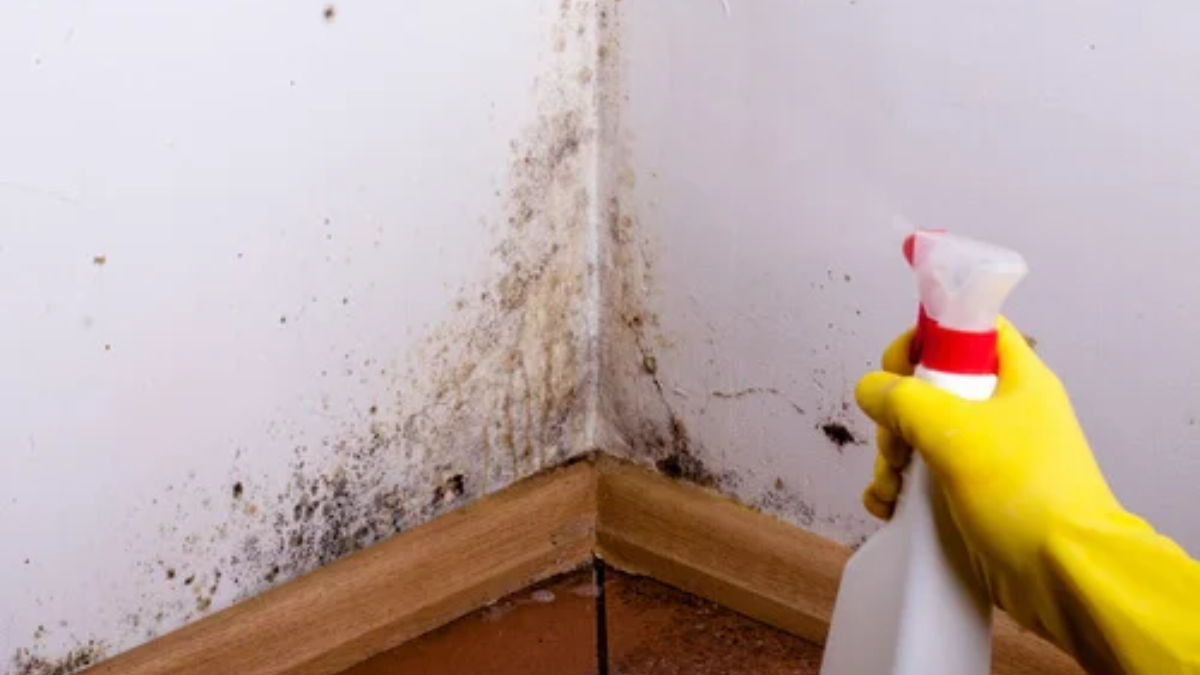 La receta secreta para limpiar las paredes La receta secreta para limpiar las paredes