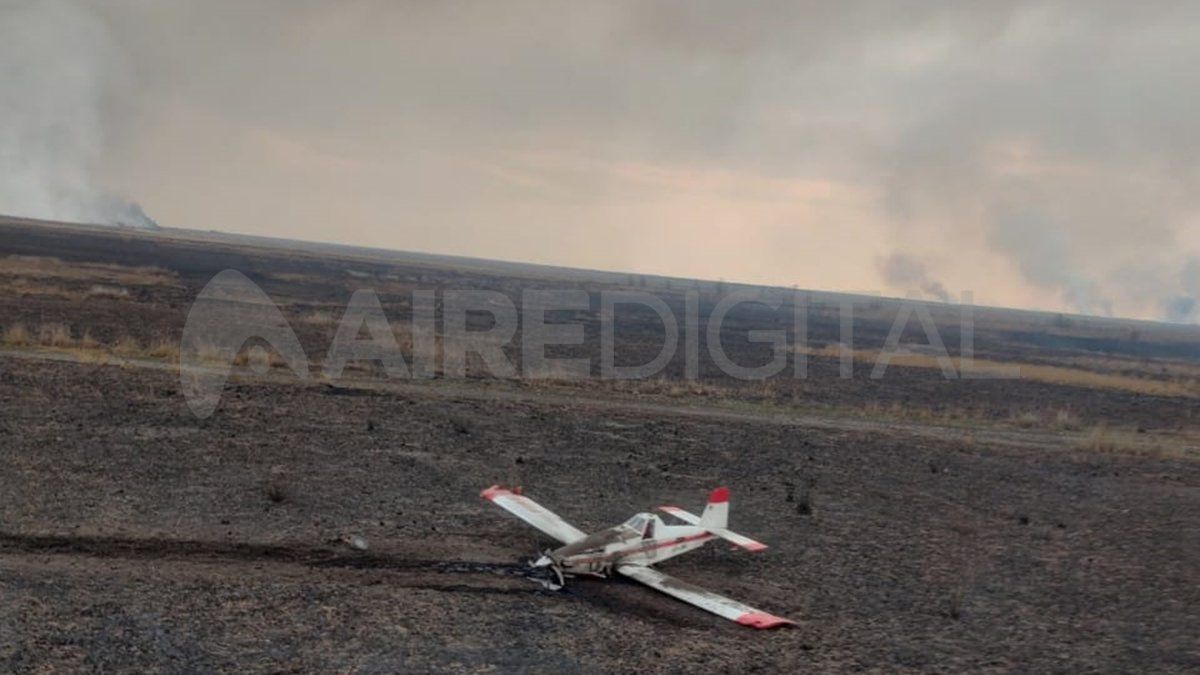 En tres años se quemaron 1.052.780 hectáreas, casi la mitad del territorio de ese delta. En tres años se quemaron 1.052.780 hectáreas, casi la mitad del territorio de ese delta.