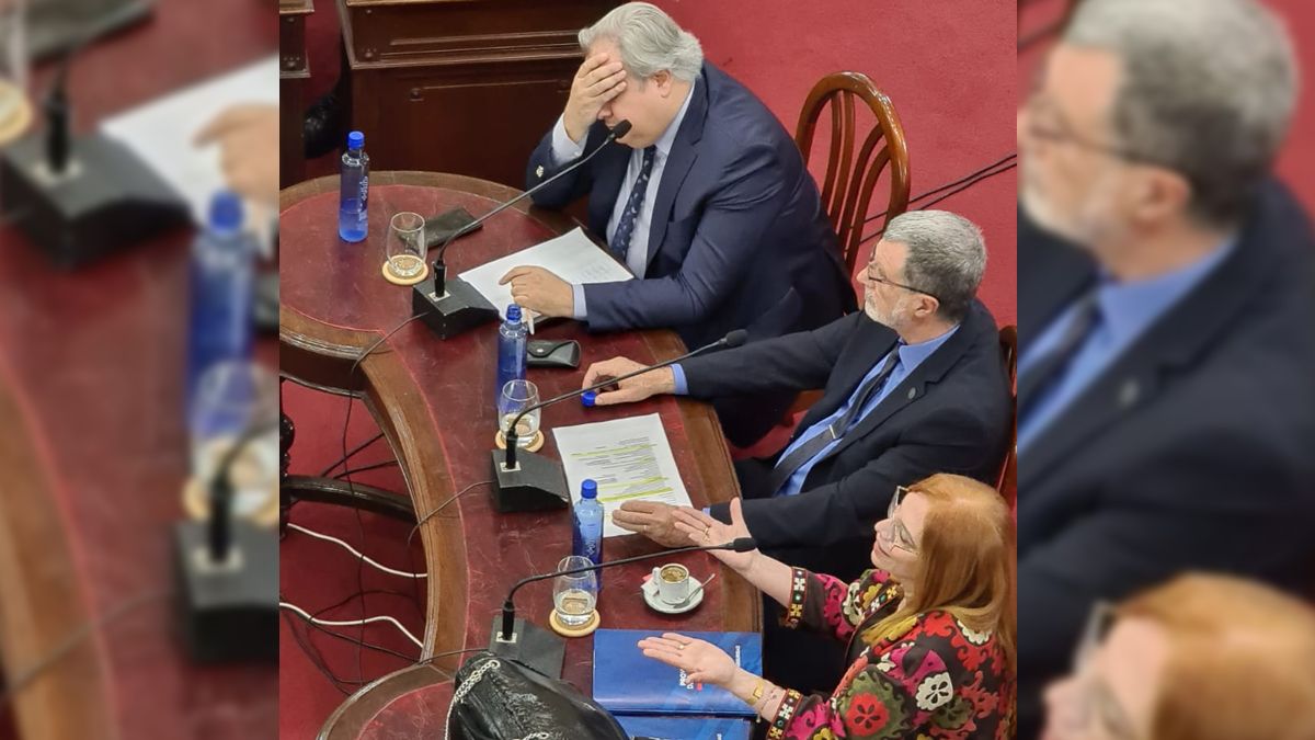 El presidente de la Cámara de Diputados y Diputadas