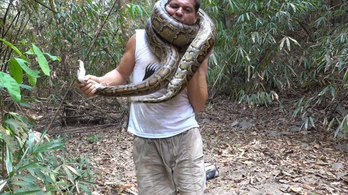 Una pitón salvaje casi mata a un famoso youtuber que se la enroscó en el cuello