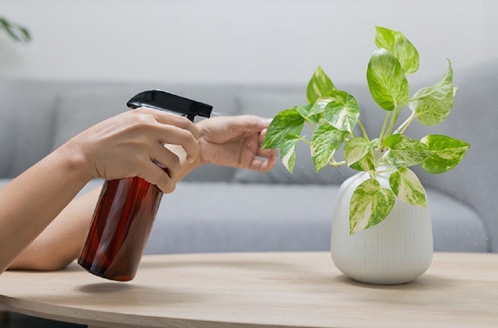 Regala con moderación y cuidado