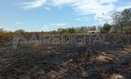 Así quedaron los campos luego de un gran incendio en Naré. Así quedaron los campos luego de un gran incendio en Naré.