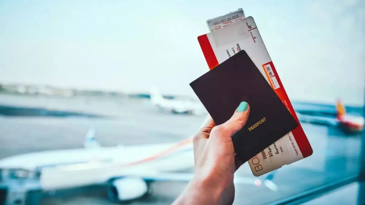 Activá notificaciones en plataformas como Skyscanner y Google Flights para no perderte ninguna oferta.