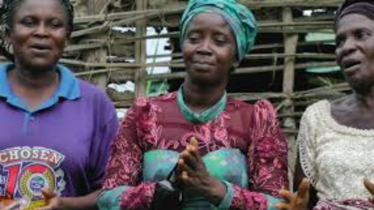 La comunidad de Kebbi exige respuestas ante otro ataque de bandidos en escuelas rurales.