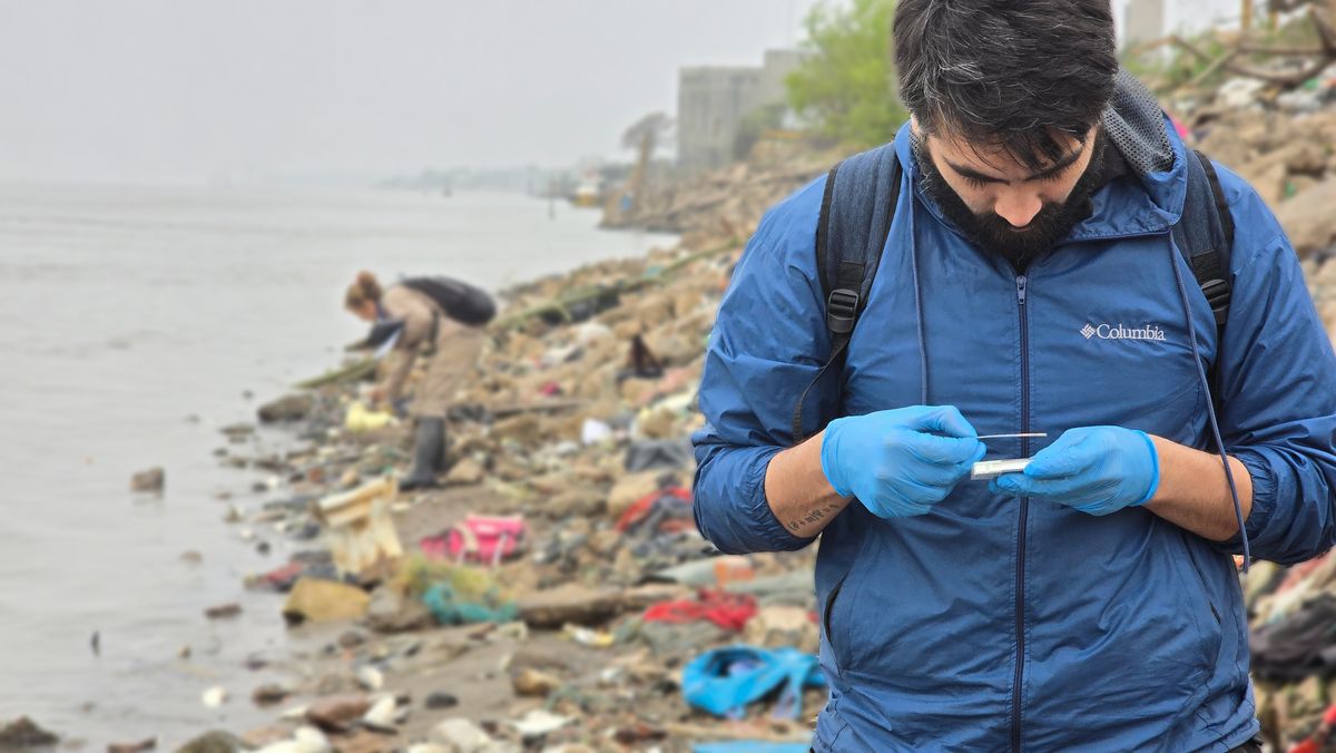 Investigación en curso por mortandad de peces en la costa de Rosario.