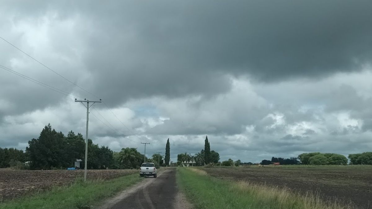 De la sequía a la lluvia en exceso, la lechería del norte esquiva al clima para seguir adelante. De la sequía a la lluvia en exceso, la lechería del norte esquiva al clima para seguir adelante.
