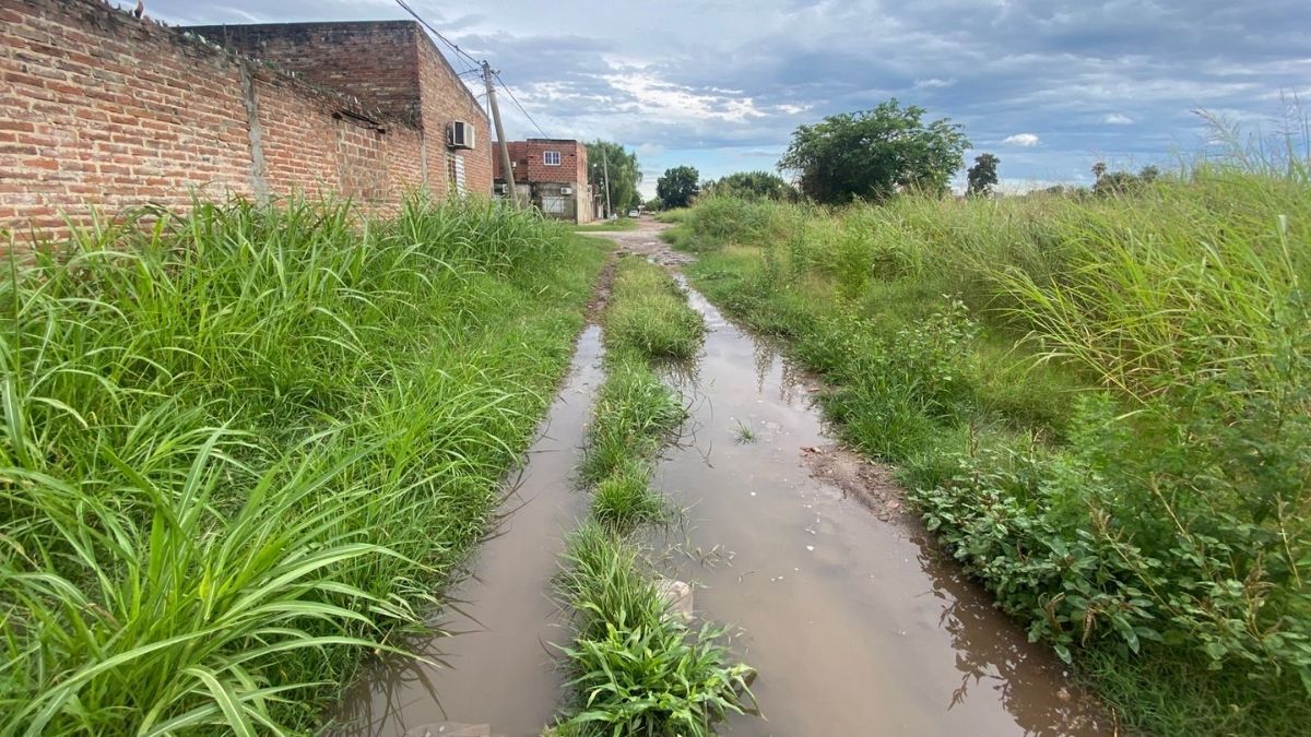 En barrio Santa Rita, a los pastizales se le suman los anegamientos tras las lluvias.