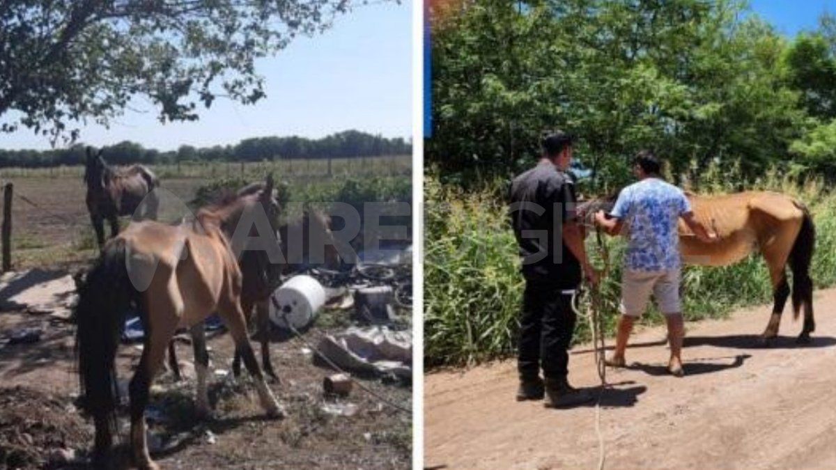 Los agentes policiales al momento del procedimiento.&nbsp;