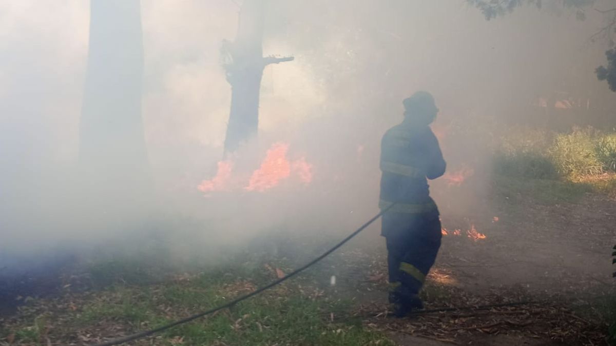 Bomberos intervinieron en el incendio que se produjo en la ex Granja La Esmeralda de Santa Fe. Bomberos intervinieron en el incendio que se produjo en la ex Granja La Esmeralda de Santa Fe.