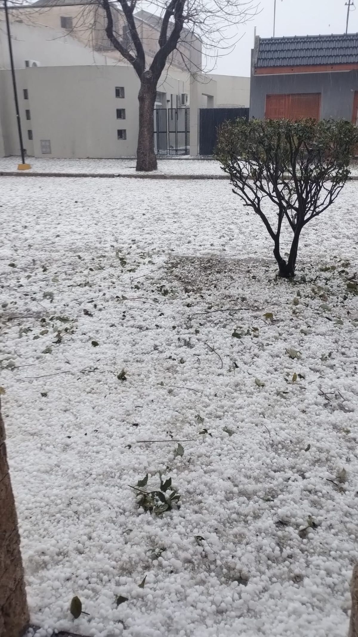 Fuerte granizada en la localidad de Las Rosas, Santa Fe.