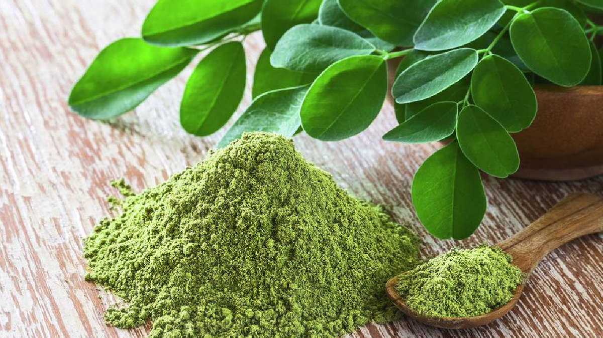 Se trata de un &aacute;rbol con un gran potencial nutritivo, repleto de vitaminas, minerales y m&uacute;ltiples beneficios para nuestro organismo.