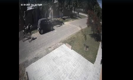 Un video dado a conocer este jueves por la tarde, muestra a un hombre cometiendo un grave hecho de maltrato animal, golpeando ferozmente a un perro. Un video dado a conocer este jueves por la tarde, muestra a un hombre cometiendo un grave hecho de maltrato animal, golpeando ferozmente a un perro.