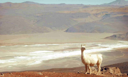 La provincia de Catamarca es uno de los destinos más buscados actualmente, aunque no sea de los más visitados. La provincia de Catamarca es uno de los destinos más buscados actualmente, aunque no sea de los más visitados.
