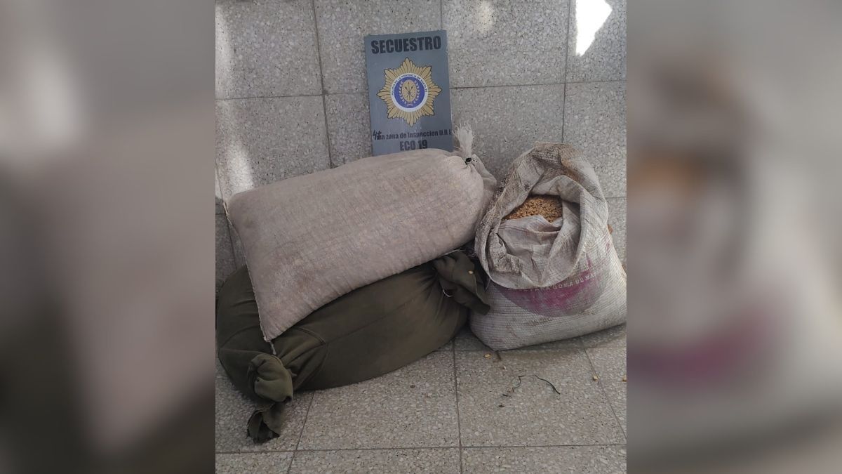 La policía secuestró bolsas con granos durante allanamientos realizados en la zona de Sauce Viejo. La policía secuestró bolsas con granos durante allanamientos realizados en la zona de Sauce Viejo.